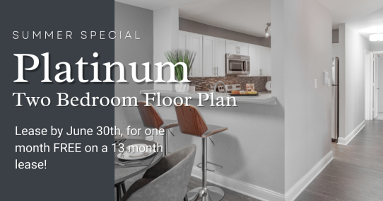 Spring Special | Platinum 2 Bedroom Floor Plan | Lease by May 15th, for 1 month free on a 13 month lease!